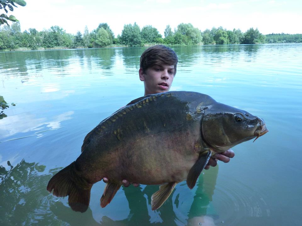 527011_227793360676025_724101741_n